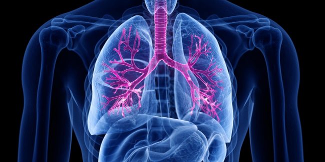 什么是慢性阻塞性肺病 (Chronic Obstructive Pulmonary Disease)，為何與新冠疫情有關(guān)？